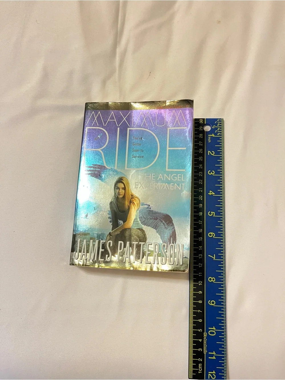 Maximum ride maximum ride